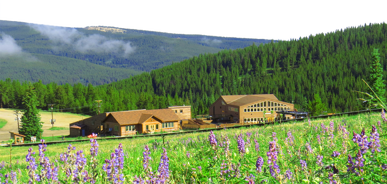 view of the Cooper lodge and wildflowers