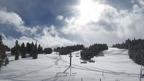 wide open trails with soft snow