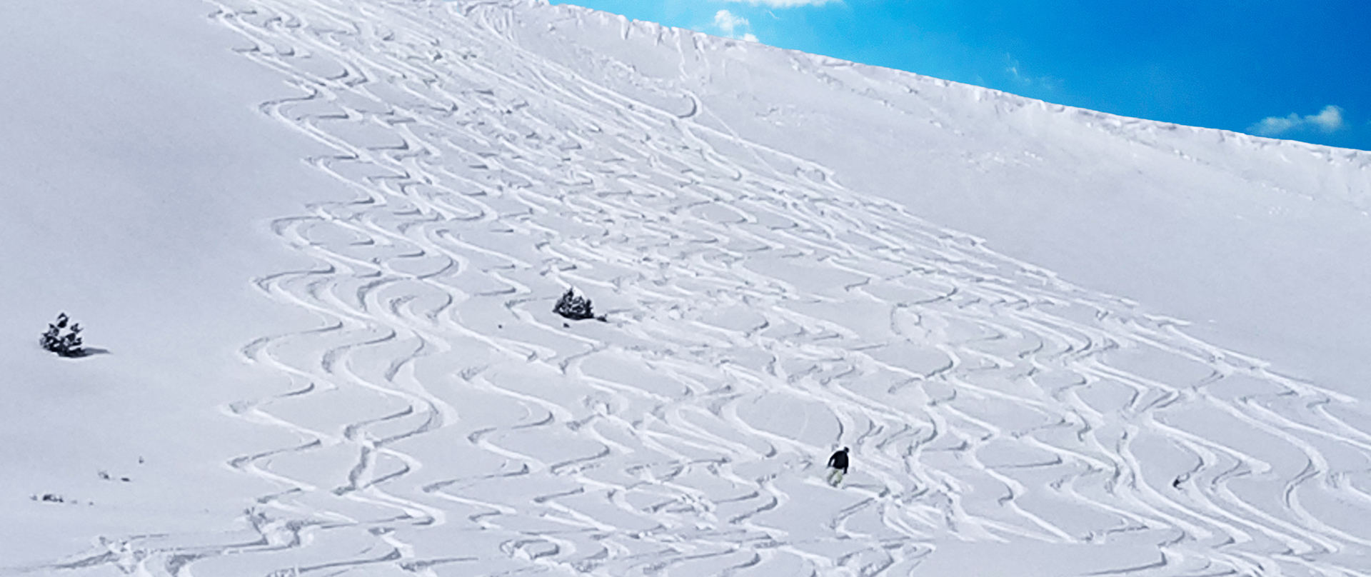 Chicago Ridge skiing