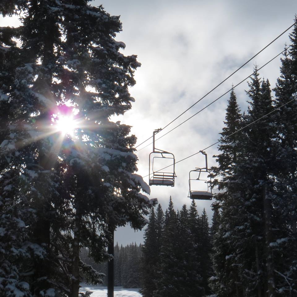 sun through the snowy trees