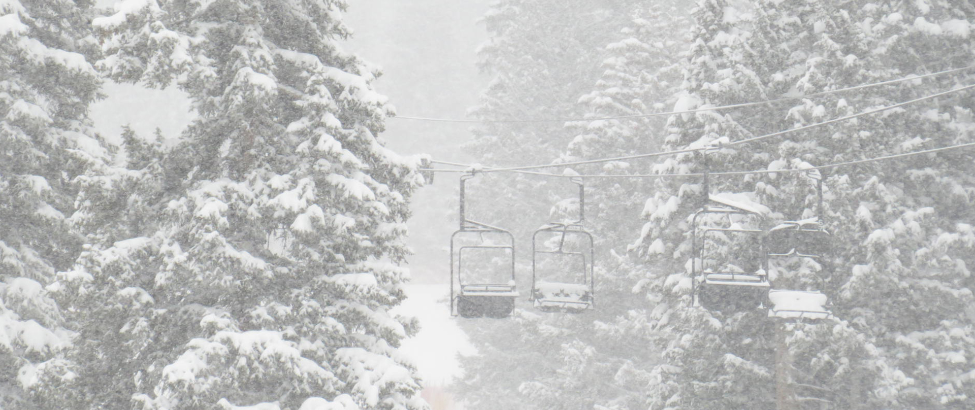 snowy trees and lift