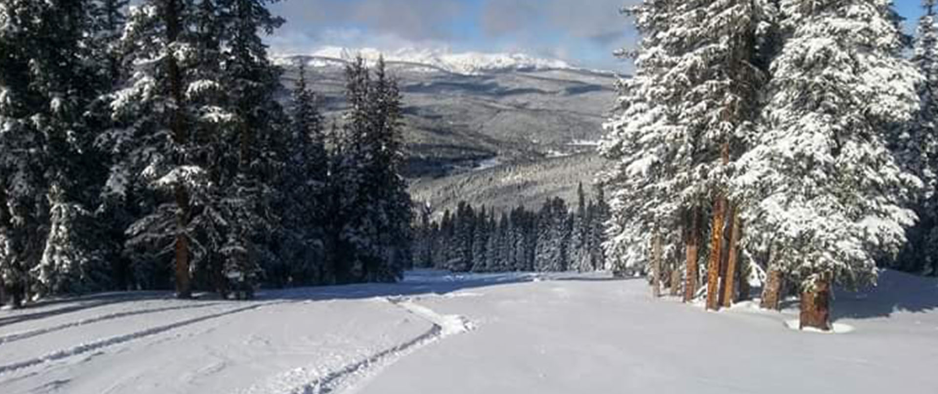 snowy scene at Ski Cooper