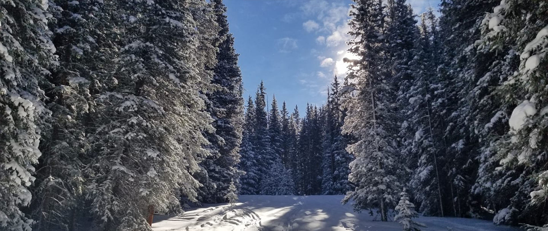 snowy scene at Ski Cooper