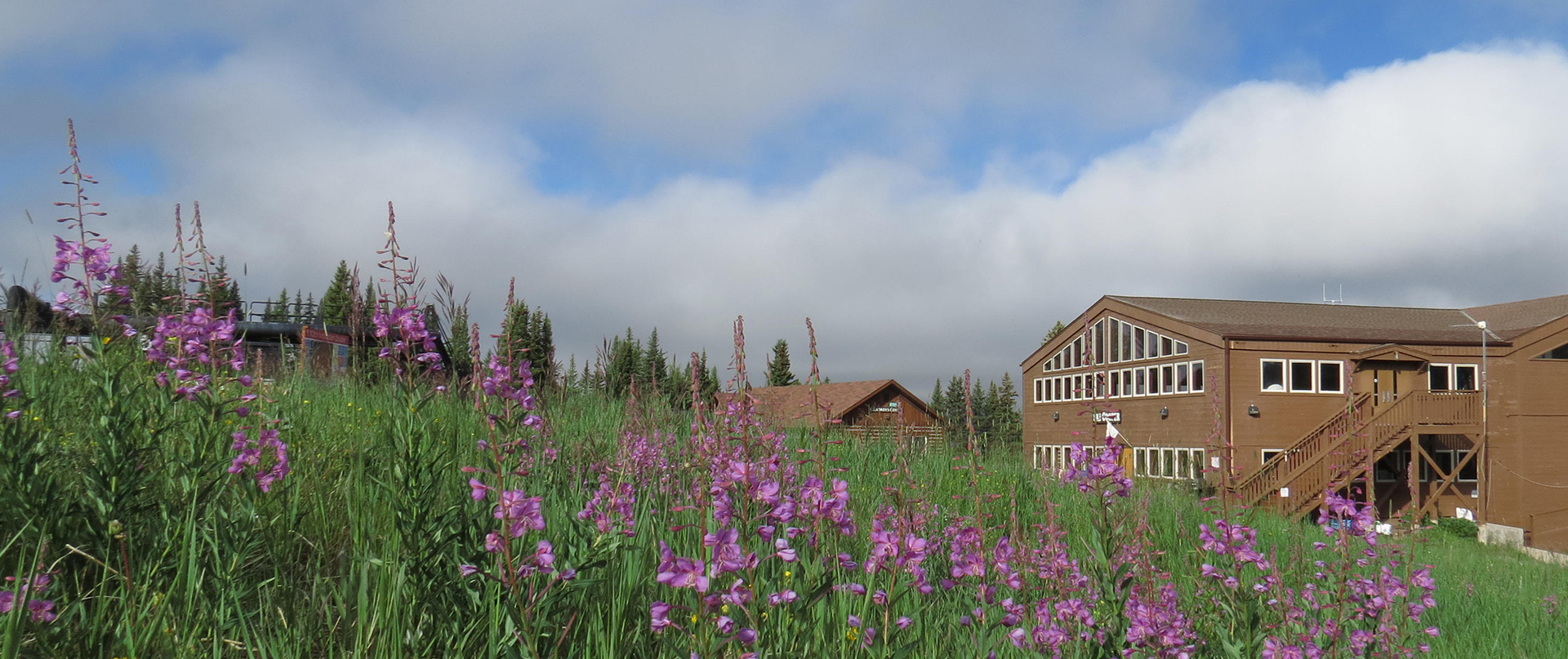 Cooper lodge with wildflowers