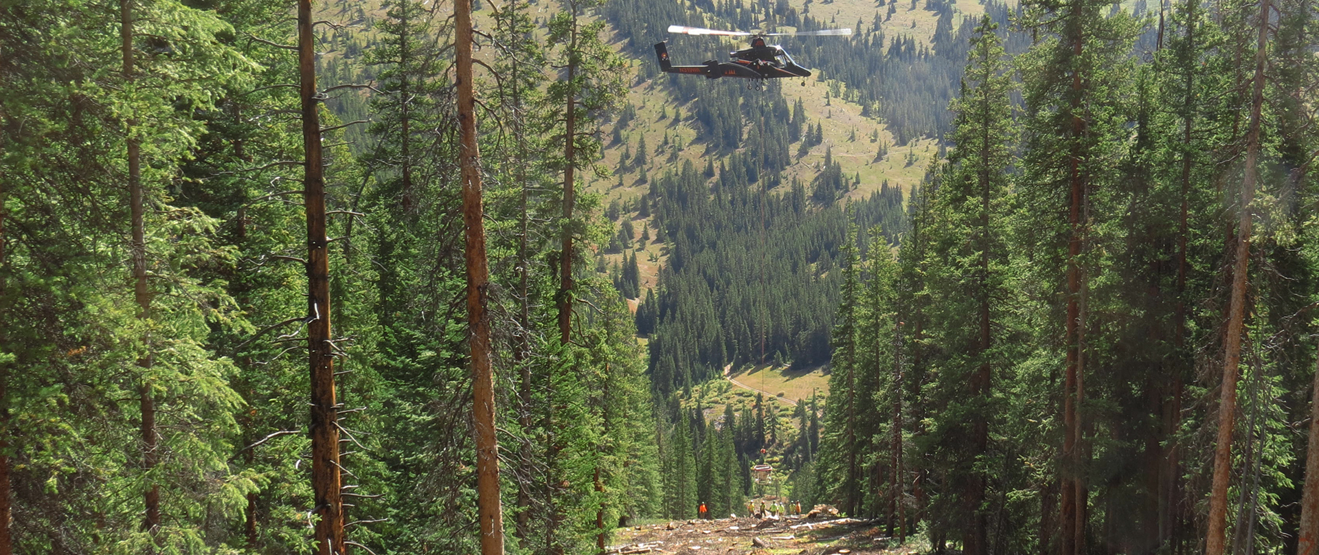 Helicopter moving trees at Cooper