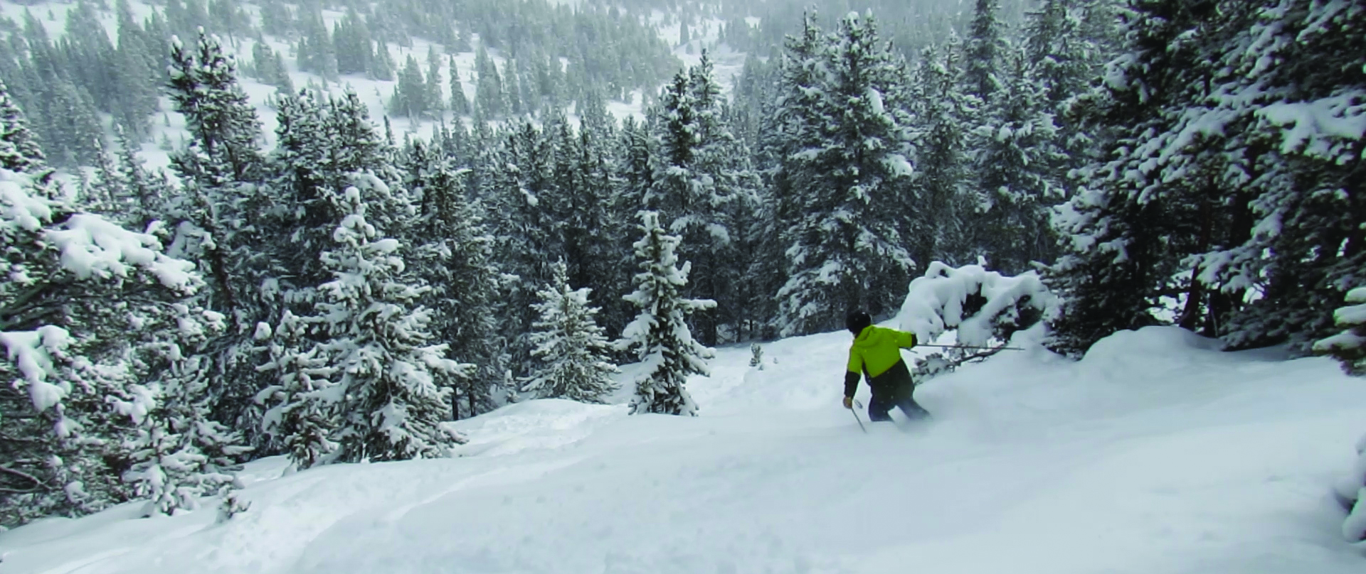 deep powder skiing