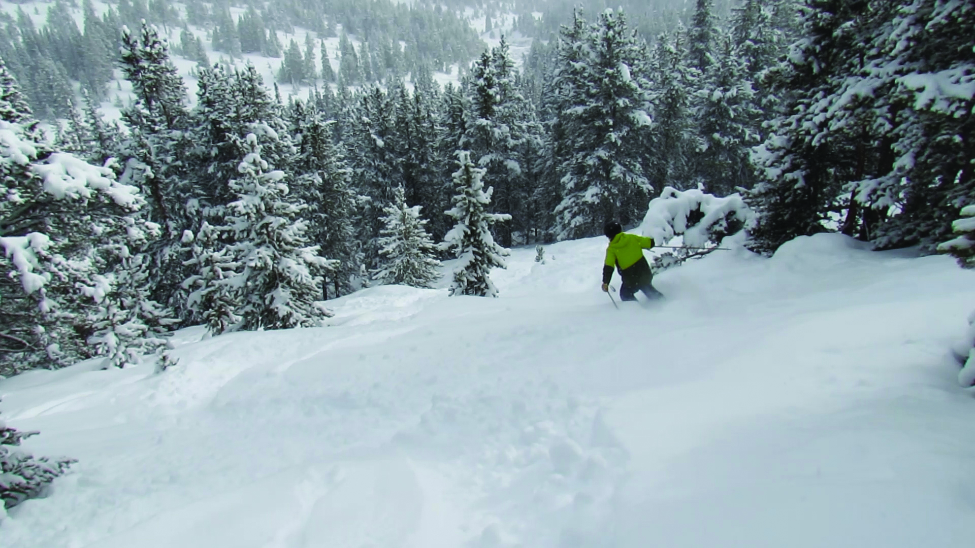 deep powder skiing