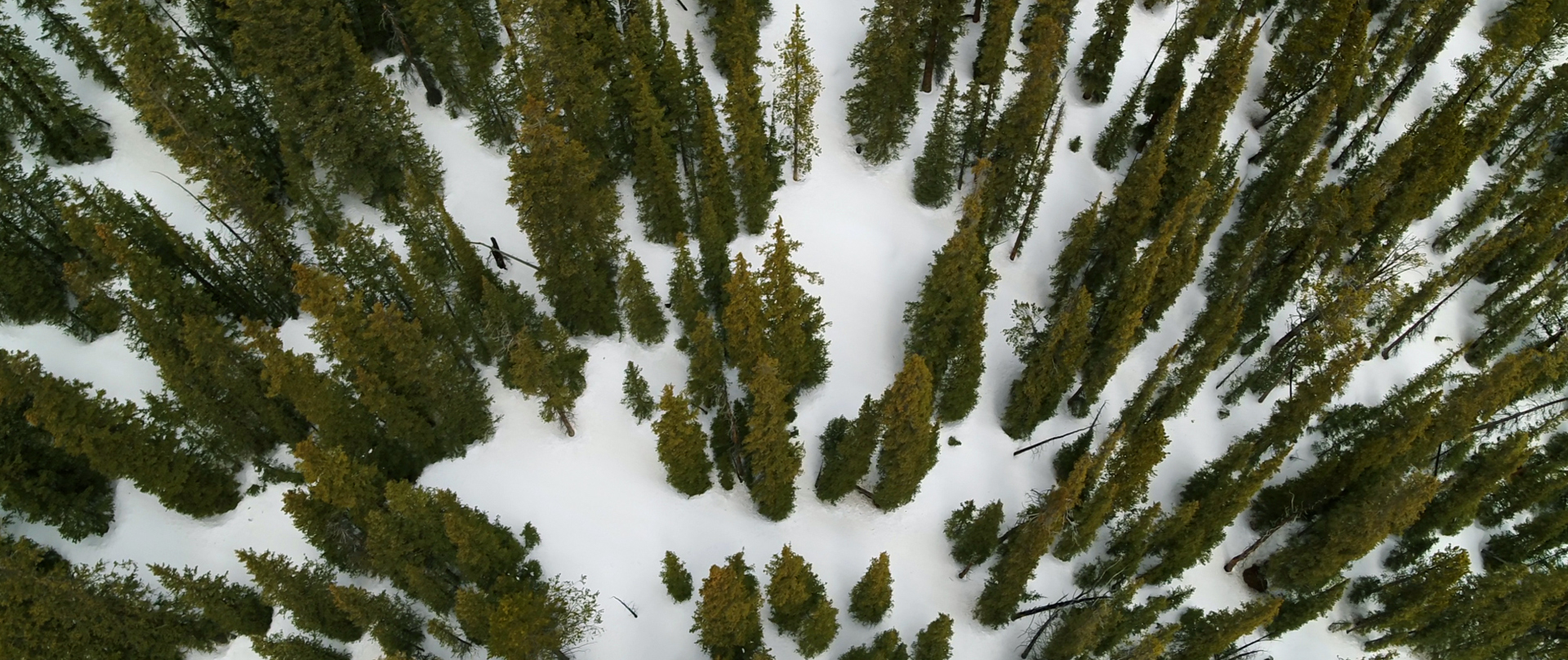 Tennessee Creek Basin