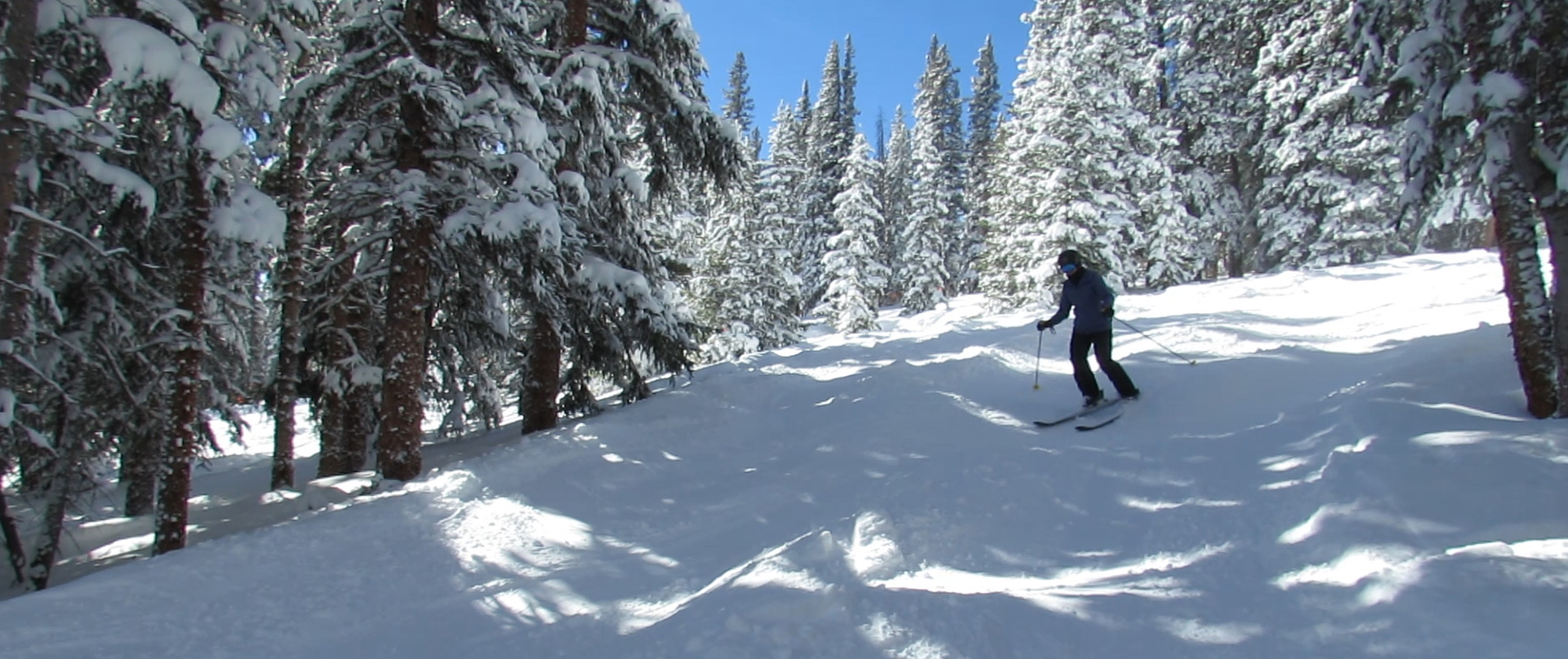 Skier on Viper