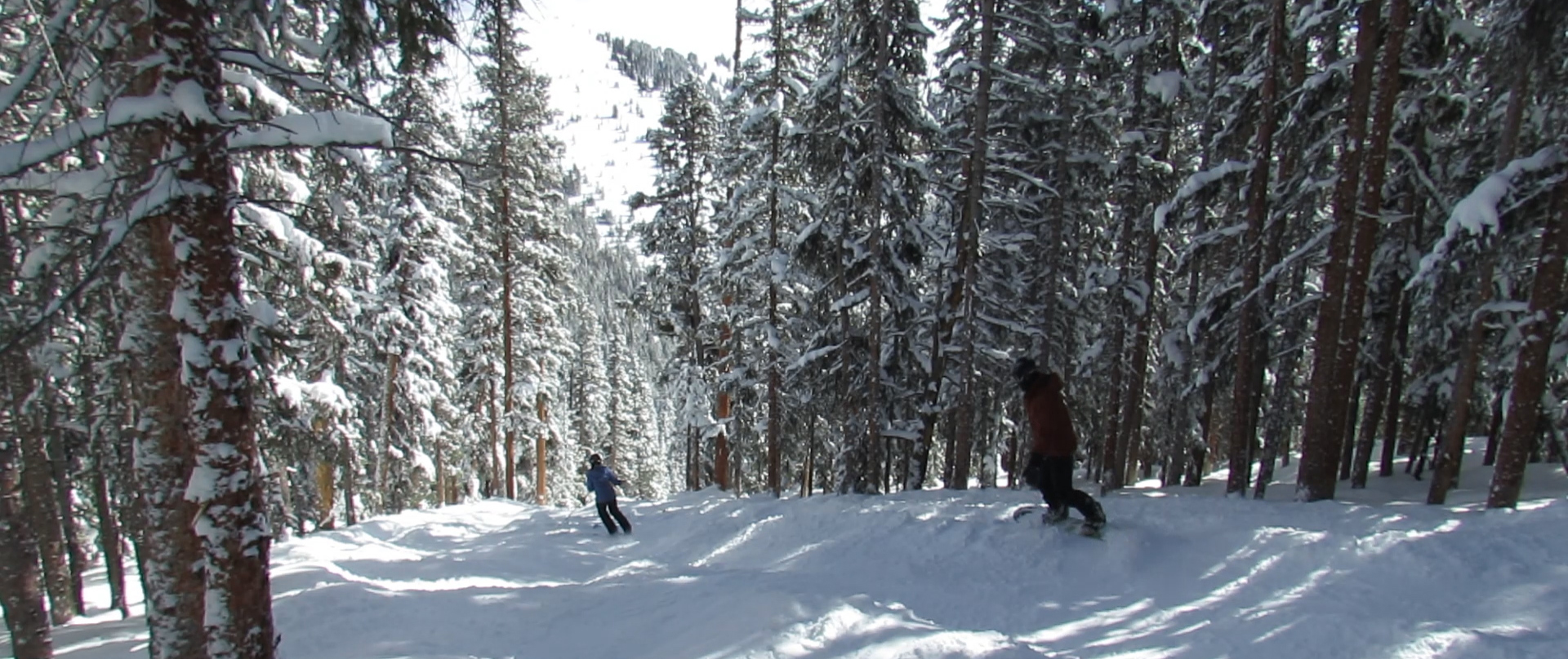 Skier and snowboarder on Viper