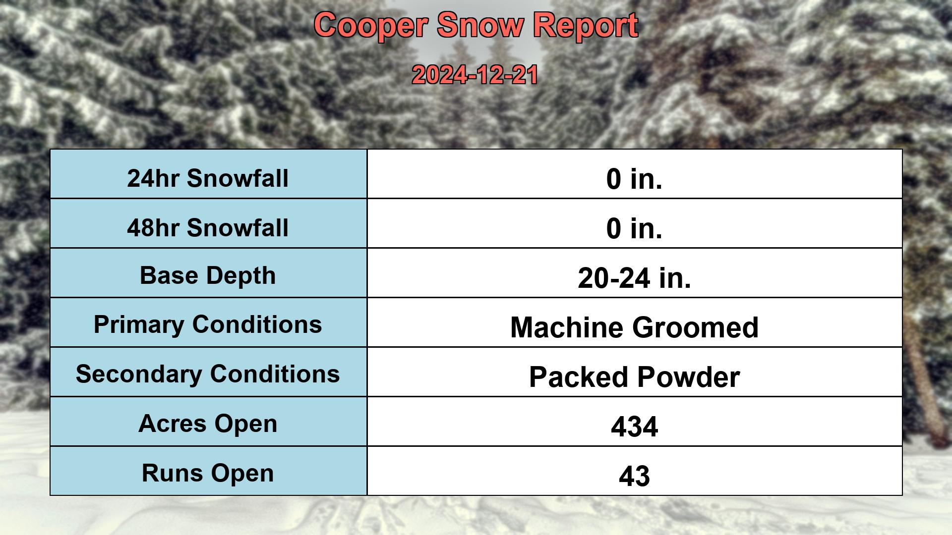 snow report